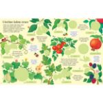 Picture of Sticker book Fruit and vegetables