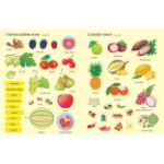 Obrázek Samolepková knížka Ovoce a zelenina
