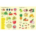 Picture of Sticker book Fruit and vegetables