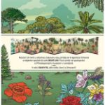 Picture of Explorer Plants