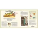 Picture of Explorer Dinosaurs