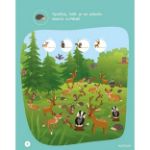 Picture of Book of fun Country