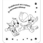 Picture of Colouring pad with stickers Paw Patrol