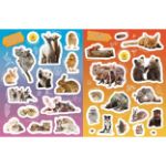 Picture of Educational sticker books 6+ Baby animals