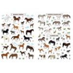 Picture of Nature sticker book Horses