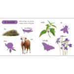 Obrázek Big stickers for little hands Outdoors
