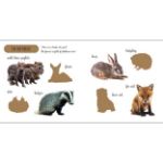 Obrázek Big stickers for little hands Baby Animals