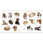 Obrázek Big stickers for little hands Baby Animals