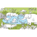 Obrázek Paint with water again and again Zoo